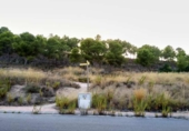 Sòl urbà en venda a la España, Múrcia, ref.: TR329844 foto