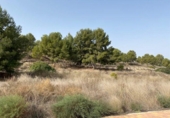 Sòl urbà en venda a la España, Múrcia, ref.: TR329844 foto