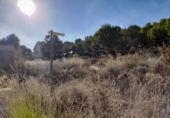 Sòl urbà en venda a la España, Múrcia, ref.: TR329844 foto