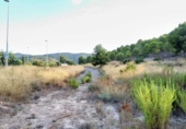 Sòl urbà en venda a la España, Múrcia, ref.: TR329844 foto
