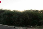 Land suitable for development for sale on España, Murcia, ref: TR307314 photo