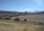 Terreny no urbanitzable en venda a la España, Coín, ref.: TR123407 foto