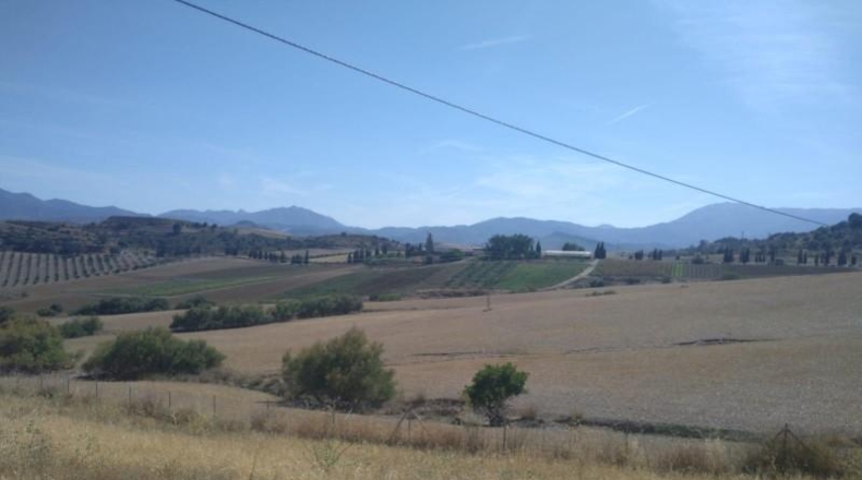 Málaga - Coín - 324970m2