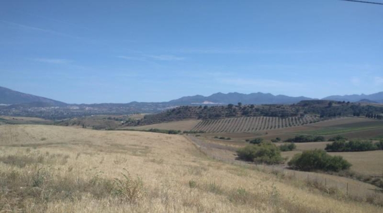 Málaga - Coín - 324970m2