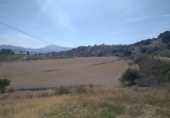 Terreny no urbanitzable en venda a la España, Coín, ref.: TR123407 foto
