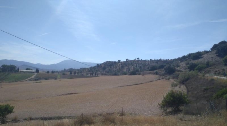 Málaga - Coín - 324970m2