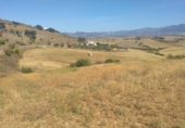 Terreny no urbanitzable en venda a la España, Coín, ref.: TR123407 foto