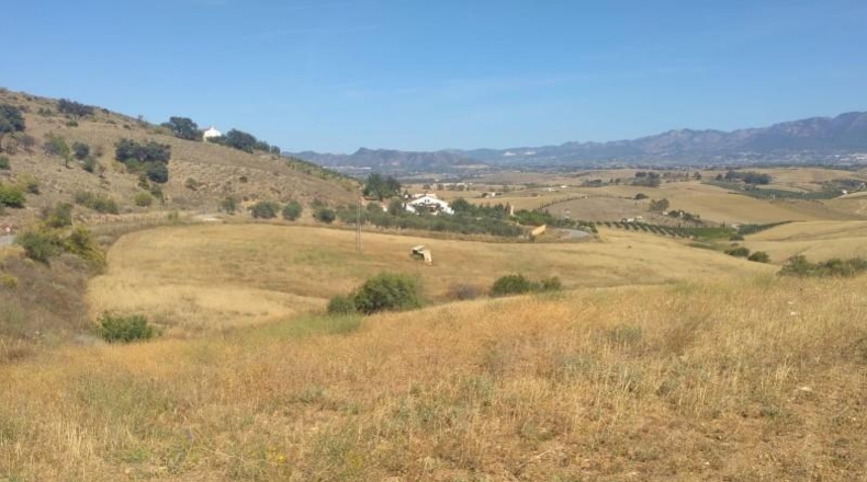 Málaga - Coín - 324970m2