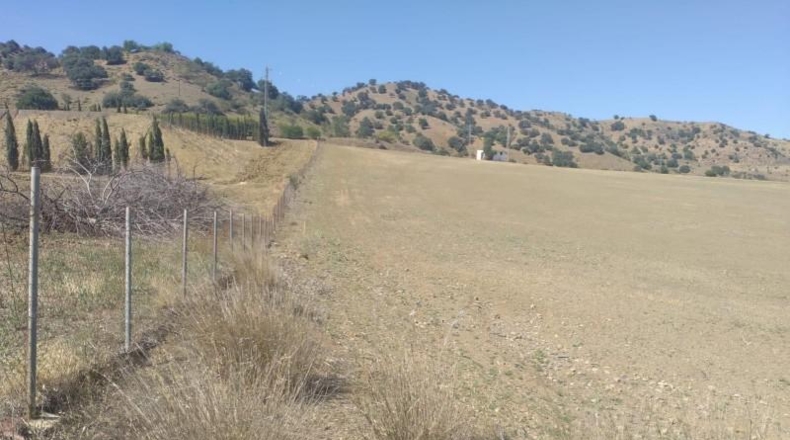 Málaga - Coín - 324970m2