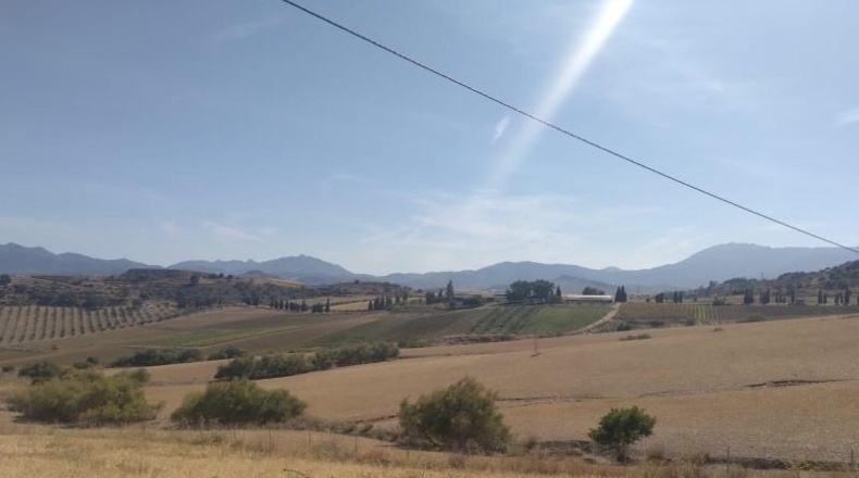 Málaga - Coín - 324970m2