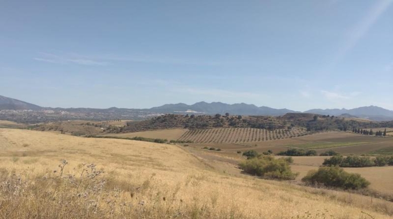 Málaga - Coín - 324970m2