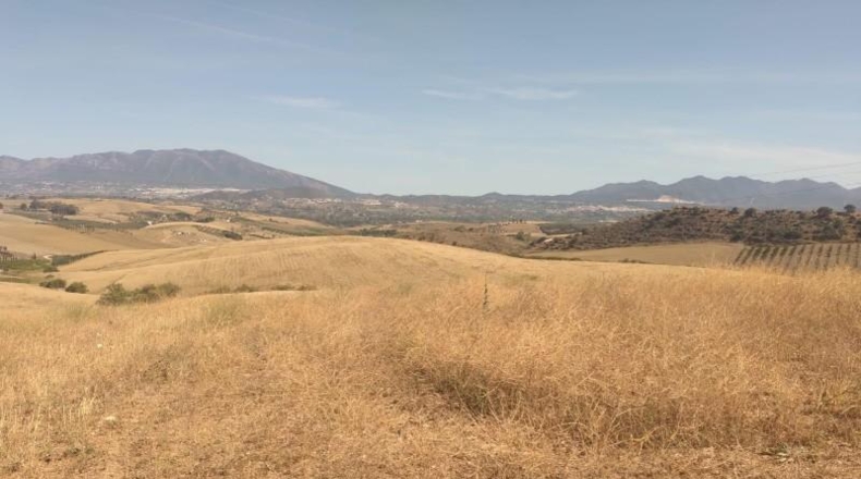 Málaga - Coín - 324970m2