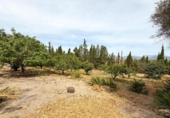 Chalet independiente con terreno en venta en la España, Sencelles, ref: TR276992 foto