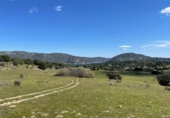 Xalet independent amb terreny en venda a la España, San Martín de Valdeiglesias, ref.: TR162518 foto