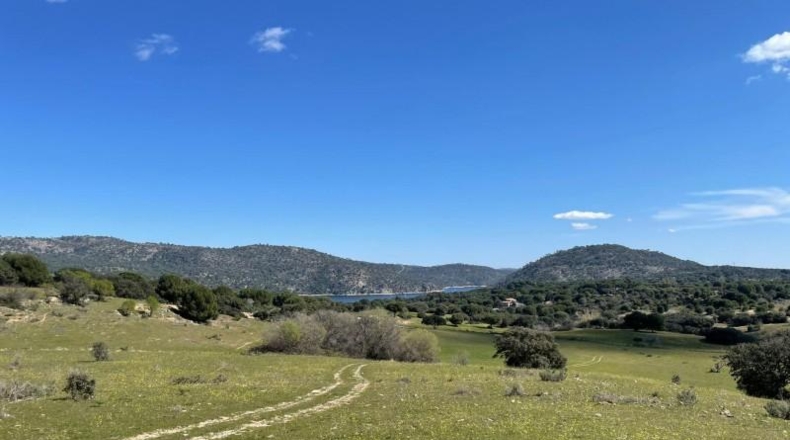 Comunidad de Madrid - San Martín de Valdeiglesias - 300000m2