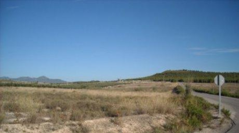 Múrcia - Calasparra - 70000m2