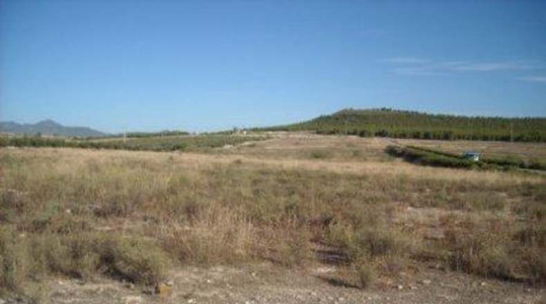 Múrcia - Calasparra - 70000m2
