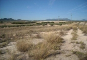 Land suitable for development for sale on España, Calasparra, ref: TR119450 photo