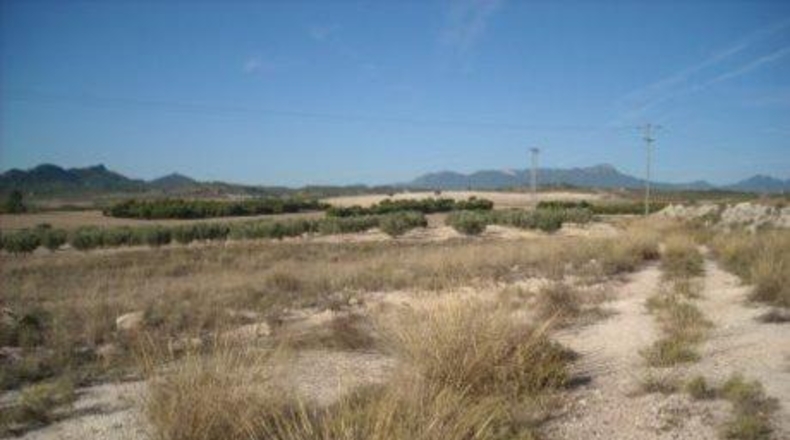 Múrcia - Calasparra - 70000m2