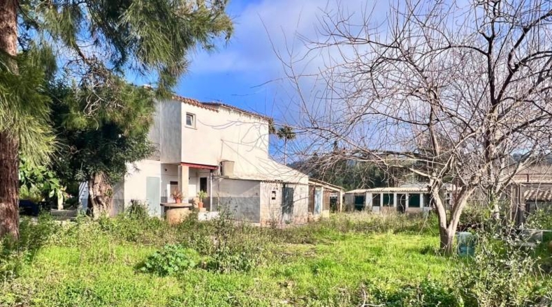 Islas Baleares - Campanet - 4275m2