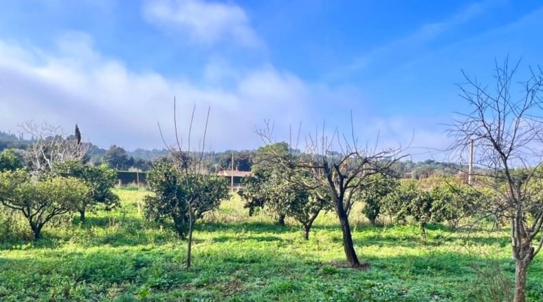 Islas Baleares - Campanet - 4275m2