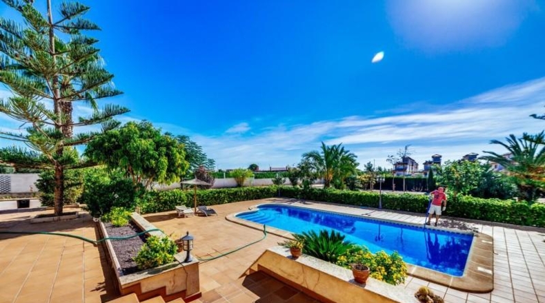 Alicante - Alicante - 5000m2