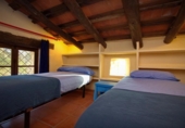 Casa de camp amb terreny en venda a la España, el Catllar, ref.: TR173175 foto