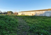 Finca rústica en venda a la España, Sanlúcar de Barrameda, ref.: TR168089 foto