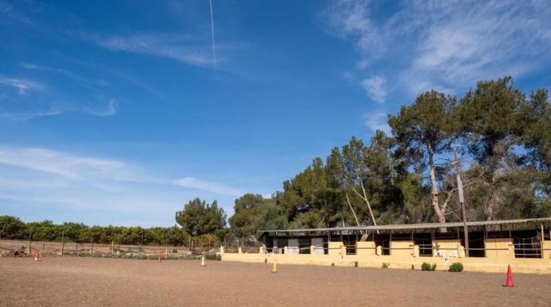 València - Bétera - 19290m2