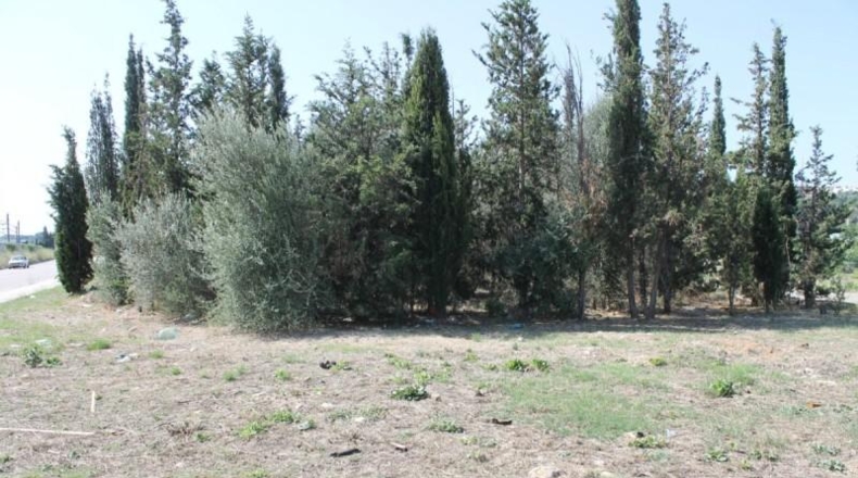 Barcelona - Olesa de Montserrat - 3320m2