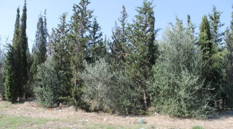 Barcelona - Olesa de Montserrat - 3320m2