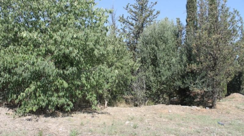 Barcelona - Olesa de Montserrat - 3320m2