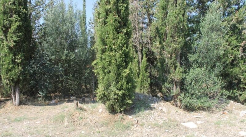 Barcelona - Olesa de Montserrat - 3320m2