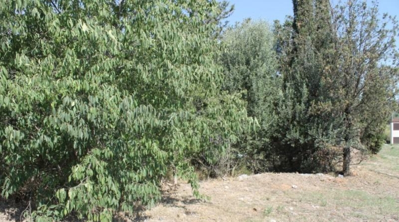 Barcelona - Olesa de Montserrat - 3320m2