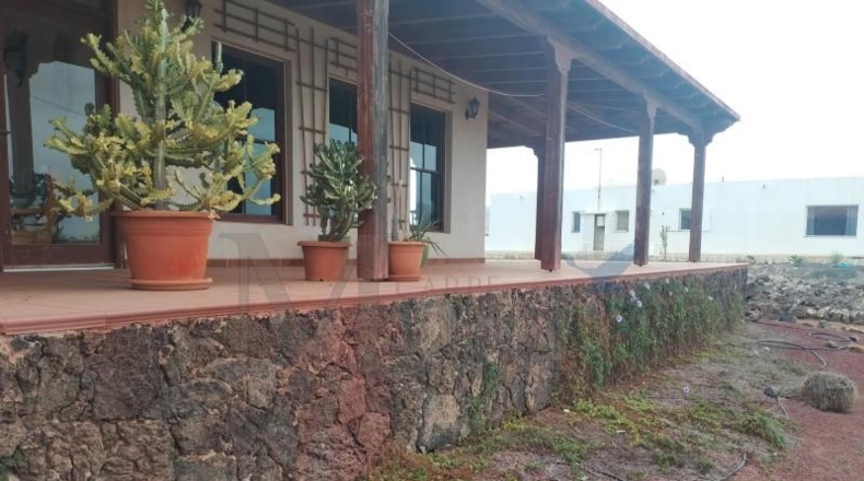Las Palmas - La Oliva - 3229m2