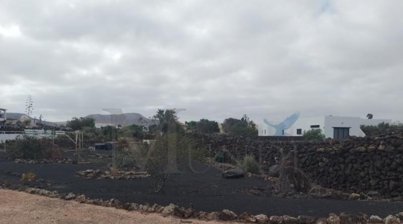 Las Palmas - La Oliva - 3229m2