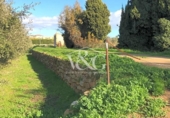 Xalet independent amb terreny en venda a la España, Palafrugell, ref.: TR171022 foto