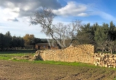 Xalet independent amb terreny en venda a la España, Palafrugell, ref.: TR171022 foto