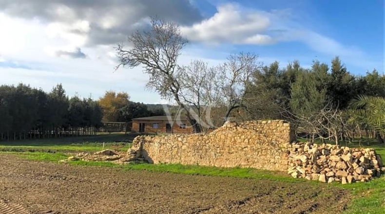 Gerona - Palafrugell - 22000m2