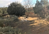 Xalet independent amb terreny en venda a la España, Palafrugell, ref.: TR171022 foto