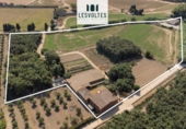 Отдельно стоящий дом с участком на продажу в городе Palafrugell Фото