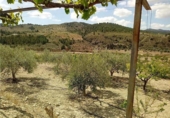Chalet independiente con terreno en venta en la España, Lorca, ref: TR151913 foto