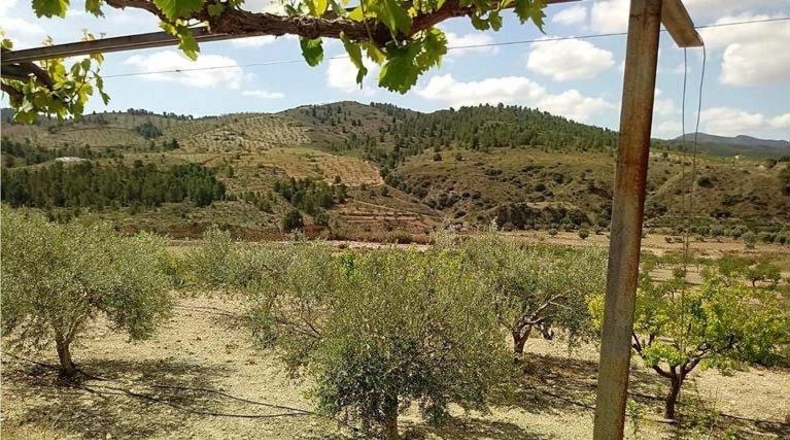 Murcia - Lorca - 260000m2