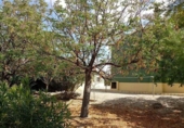 Chalet independiente con terreno en venta en la España, Lorca, ref: TR151913 foto