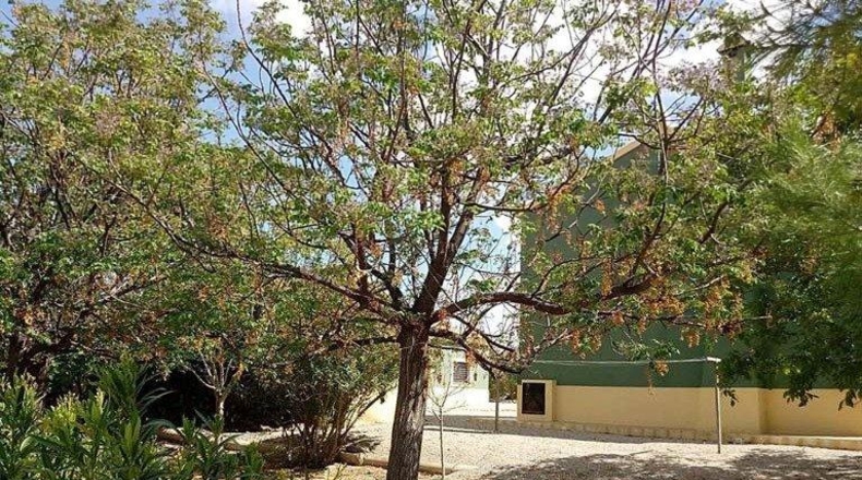 Murcia - Lorca - 260000m2