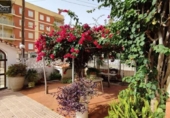 Detached villa with land for sale on España, Gandia, ref: TR168524 photo