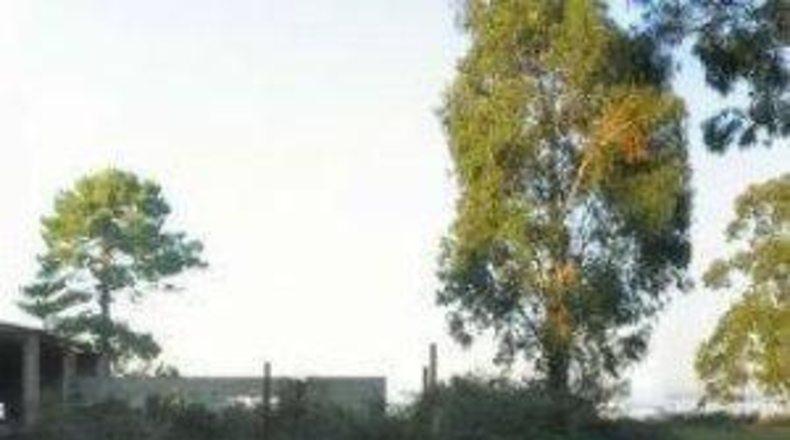Pontevedra - Sanxenxo - 27180m2