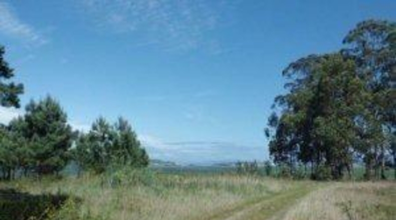 Pontevedra - Sanxenxo - 27180m2