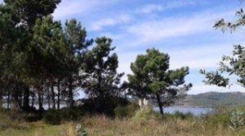 Pontevedra - Sanxenxo - 27180m2