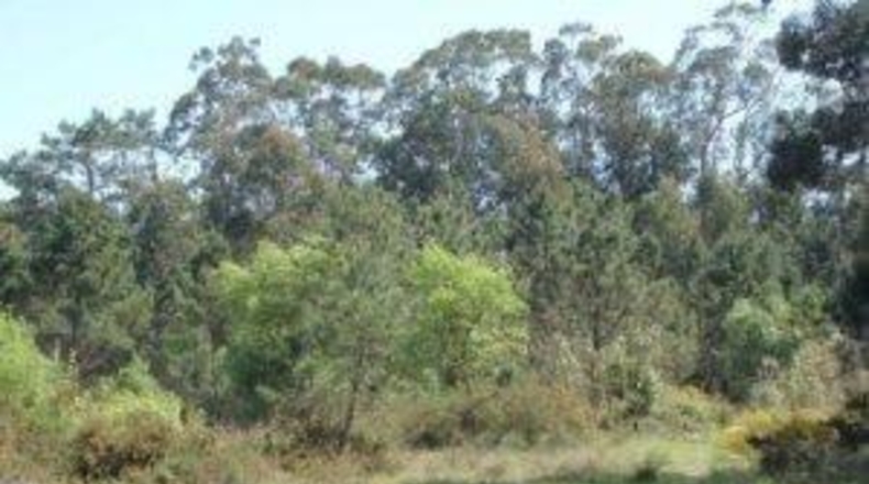 Pontevedra - Sanxenxo - 27180m2
